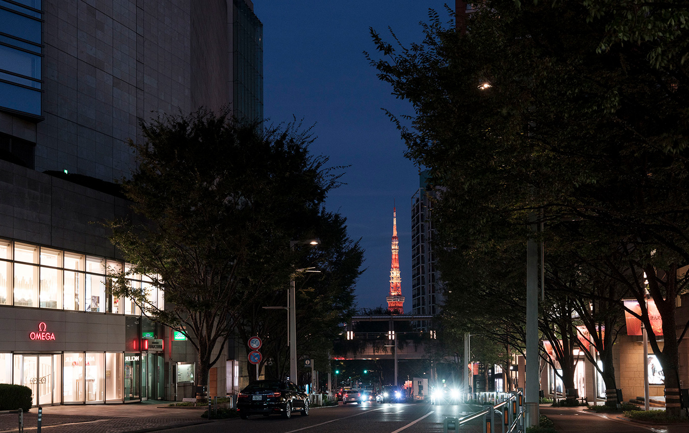 弁護士のご紹介